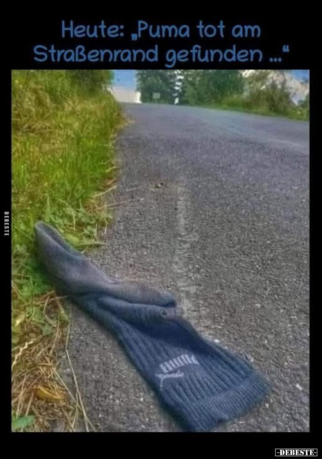Heute: "Puma tot am Straßenrand gefunden..."