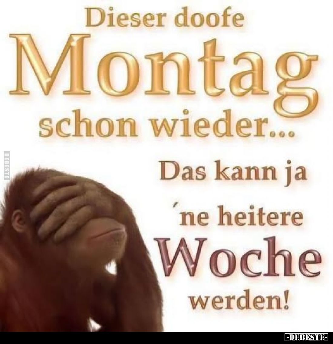 Dieser doofe Montag schon wieder...
Das kann ja 'ne heitere Woche werden!