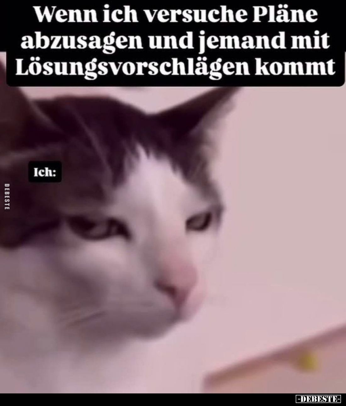 Wenn ich versuche Pläne abzusagen und jemand mit Lösungsvorschlägen kommt.