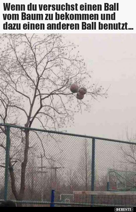 Wenn du versuchst einen Ball vom Baum zu bekommen und dazu.. - Lustige Bilder | DEBESTE.de