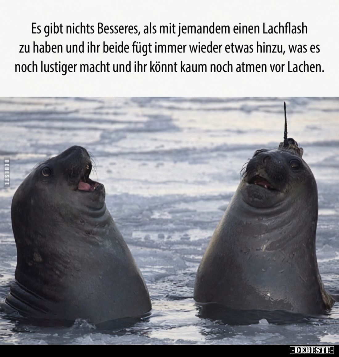 Es gibt nichts Besseres, als mit jemandem einen Lachflash zu haben und ihr beide fügt immer wieder etwas hinzu, was es noch l...