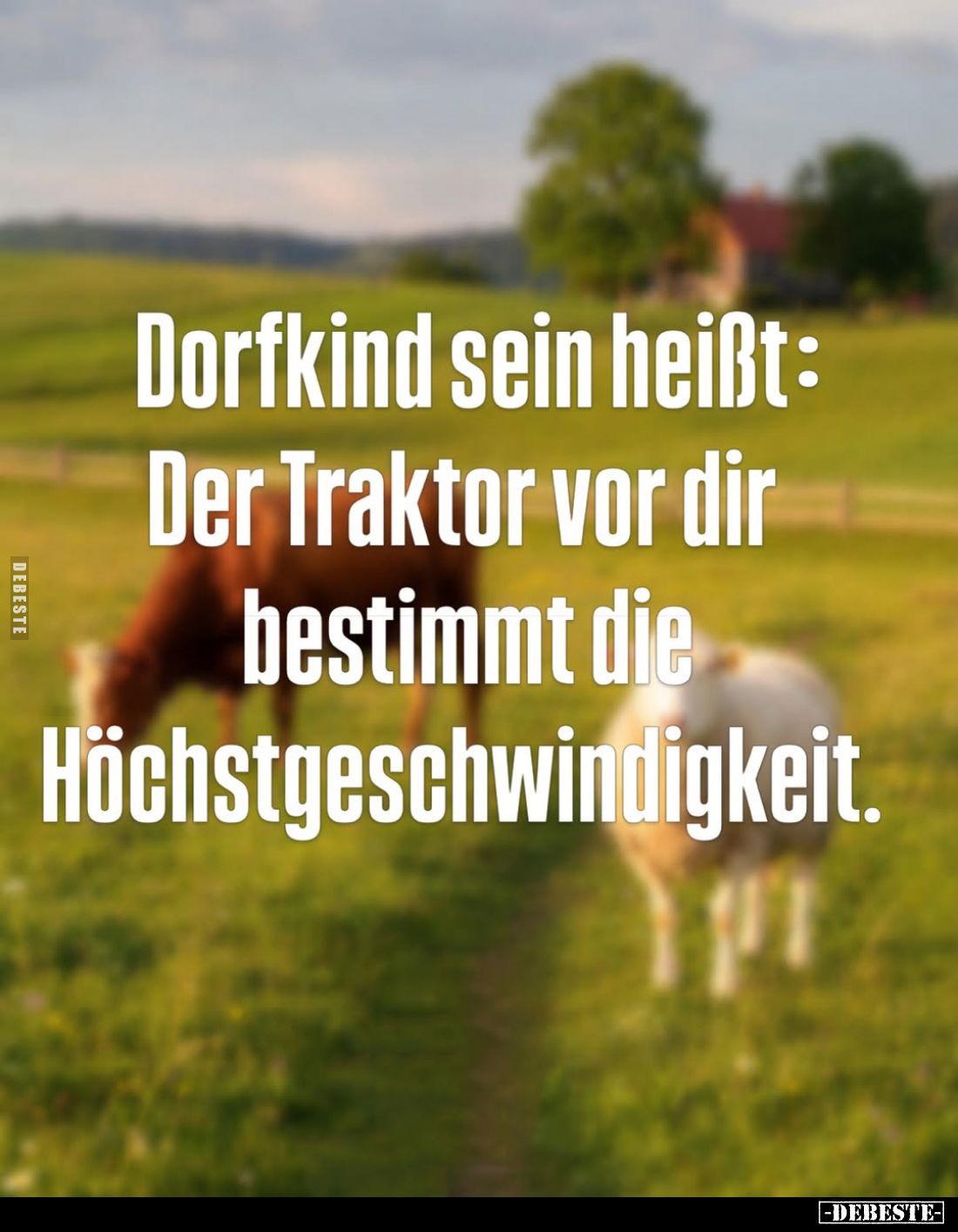 Dorfkind sein heißt: Der Traktor vor dir bestimmt die Höchstgeschwindigkeit.