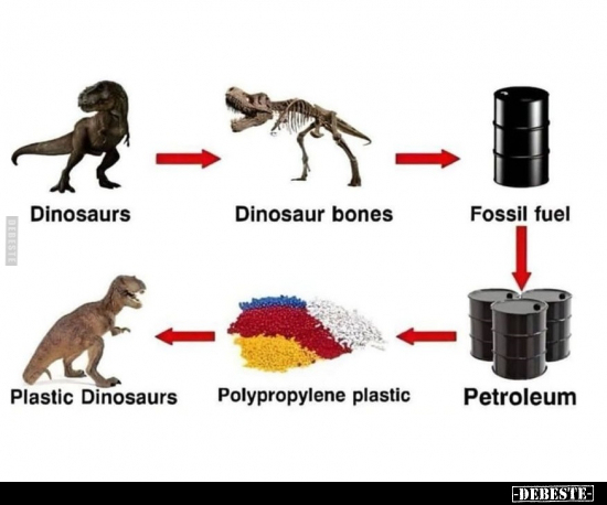 Dinosaurs - Dinosaur bones.. - Lustige Bilder | DEBESTE.de