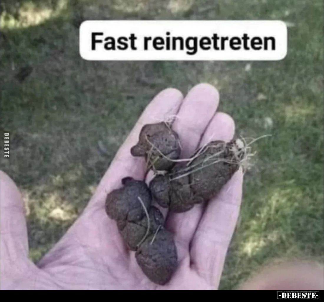  - Lustige Bilder | DEBESTE.de