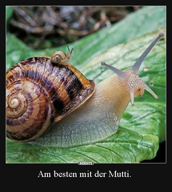 Am besten mit der Mutti... - Lustige Bilder | DEBESTE.de