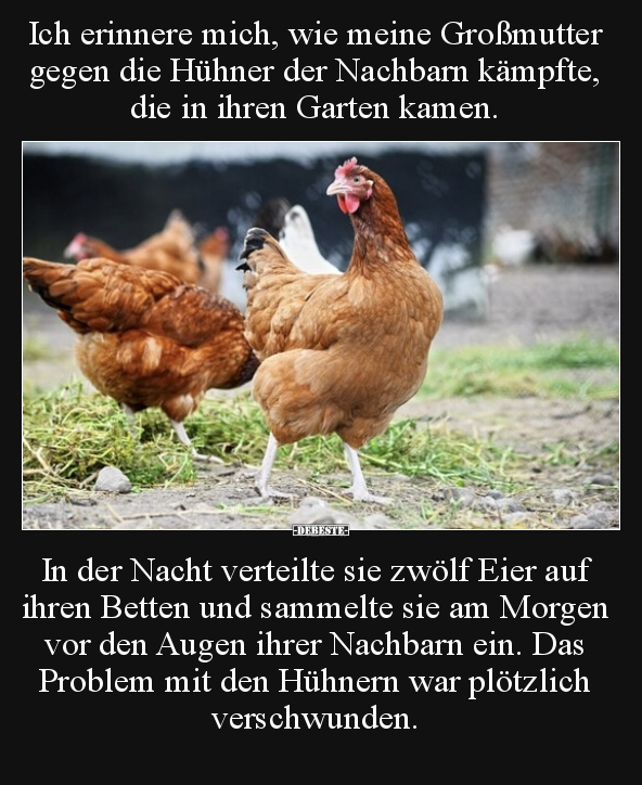 Ich erinnere mich, wie meine Großmutter gegen die Hühner.. - Lustige Bilder | DEBESTE.de