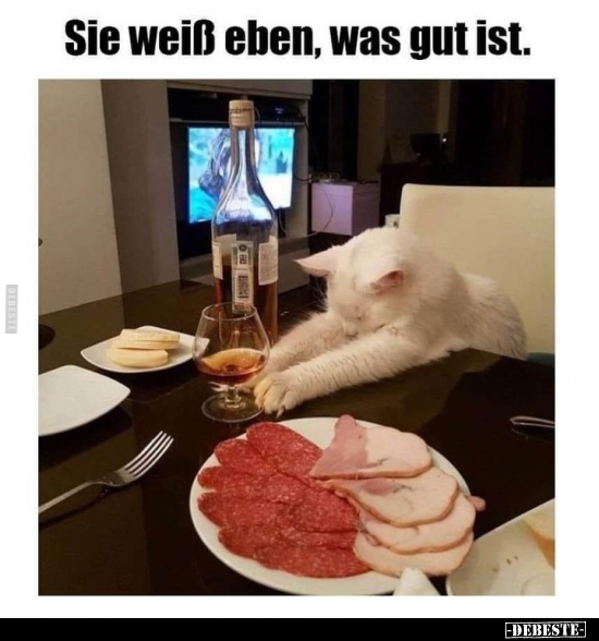 Lustige Bilder zum Thema: Heute, Einfach So