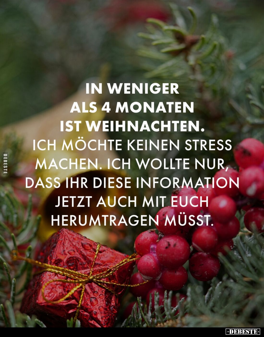 In weniger als 4 Monaten ist Weihnachten.
Ich möchte keinen Stress machen. Ich wollte nur, dass ihr diese Information jetzt ...