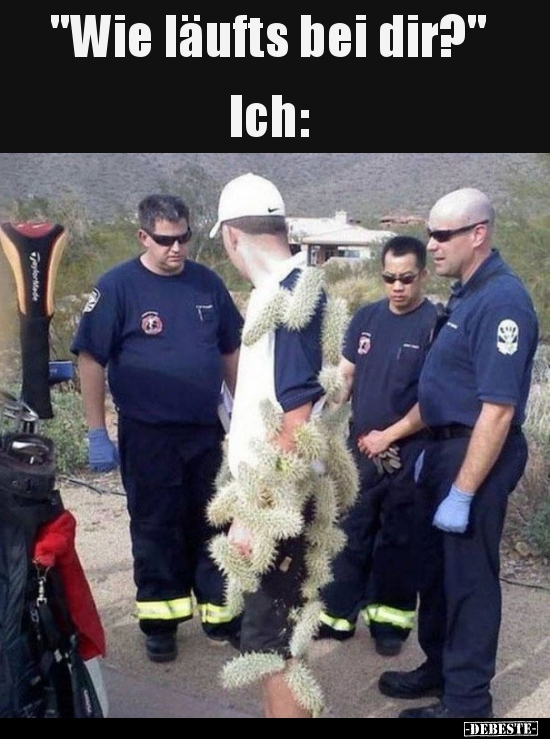 "Wie läufts bei dir?" Ich..