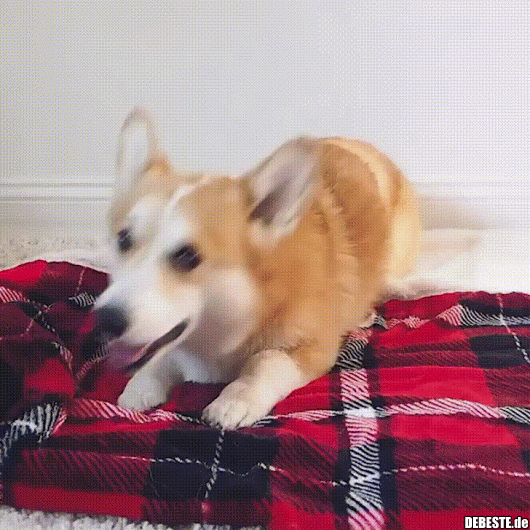 Liebling.. - Lustige Bilder | DEBESTE.de