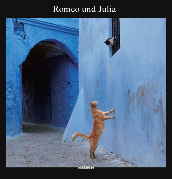 Romeo und Julia.. - Lustige Bilder | DEBESTE.de