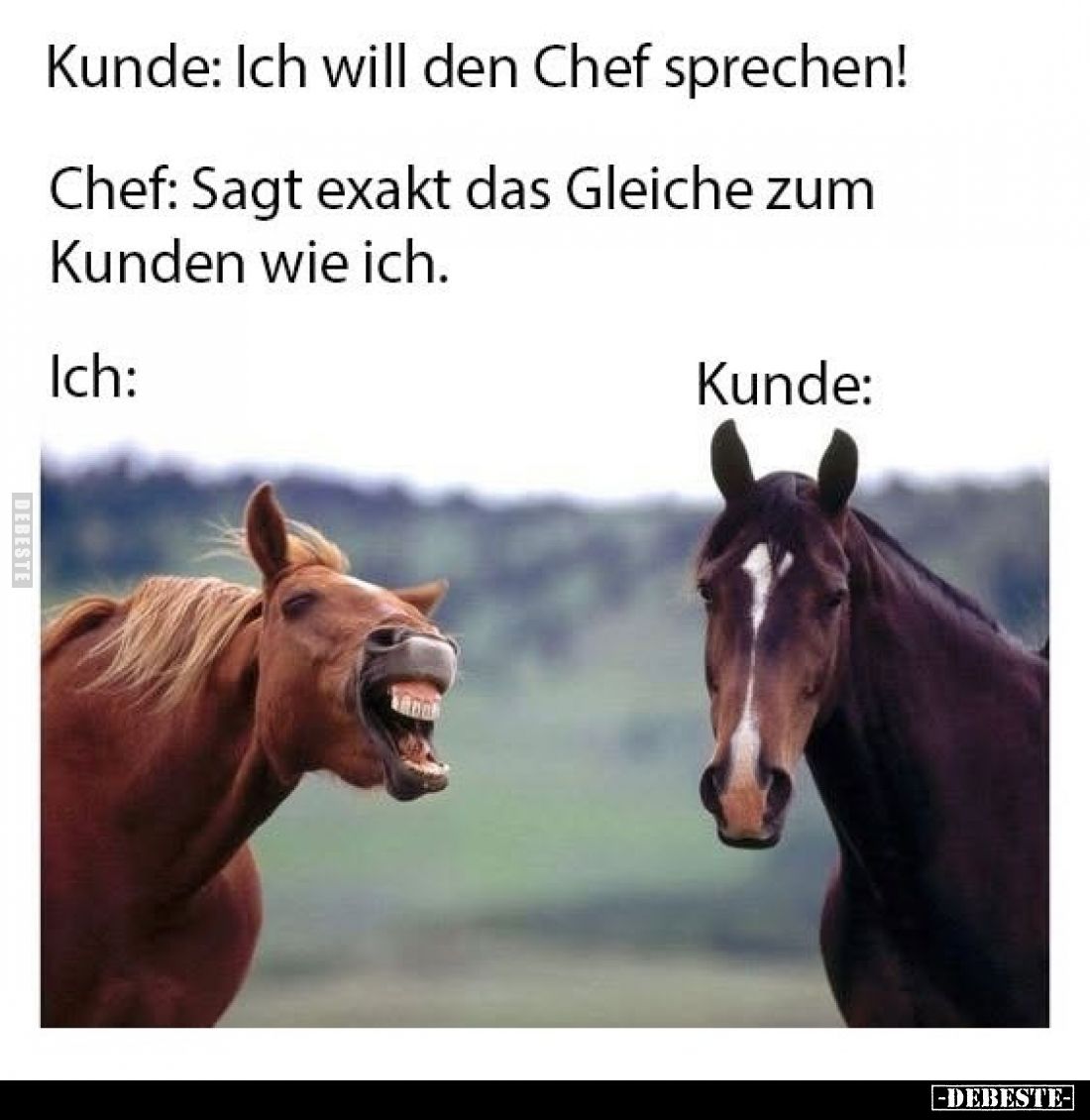 Kunde: Ich will den Chef sprechen! -
Chef: Sagt exakt das Gleiche zum Kunden wie ich.