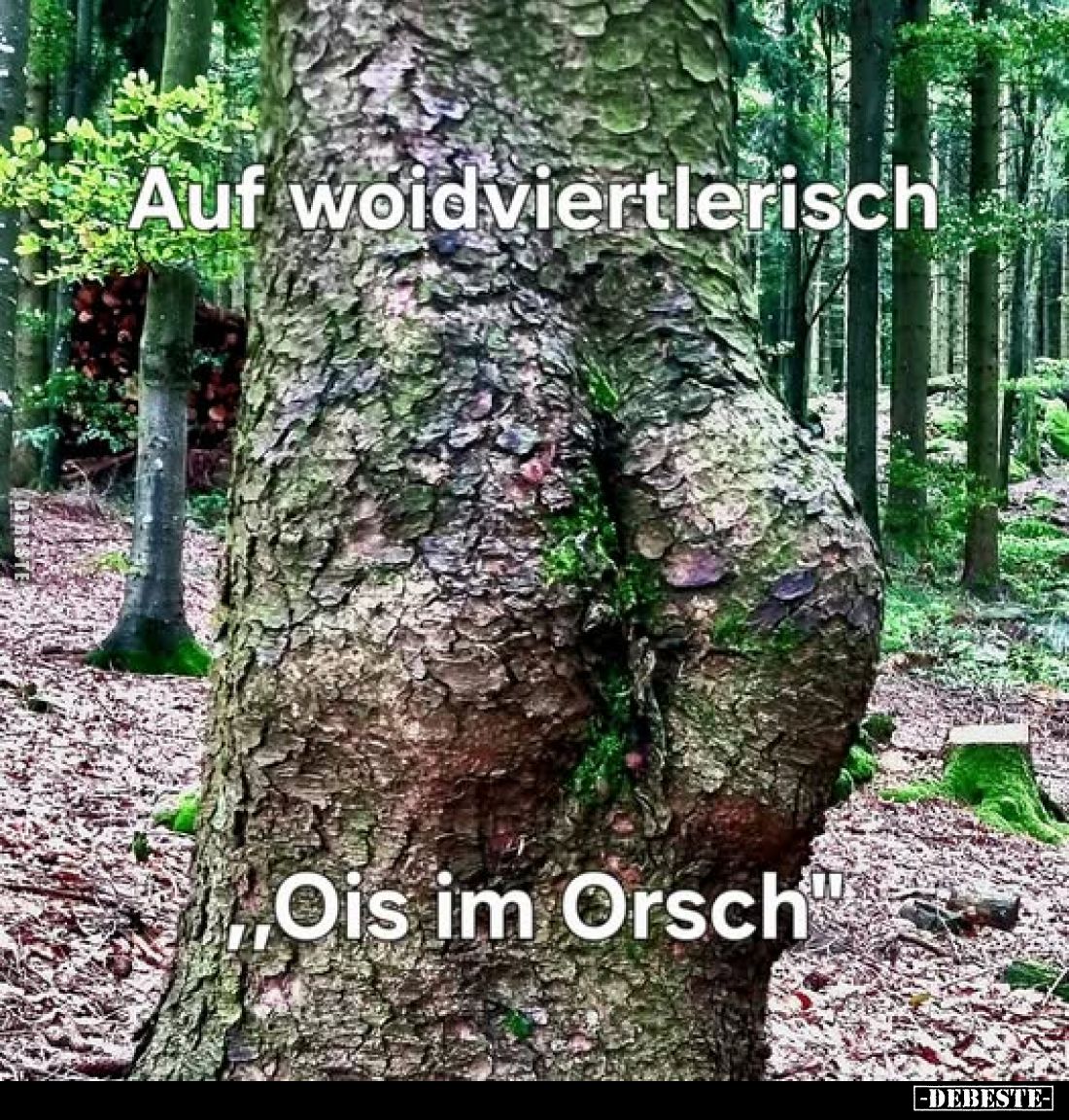 Auf woidviertlerisch
"Ois im Orsch".