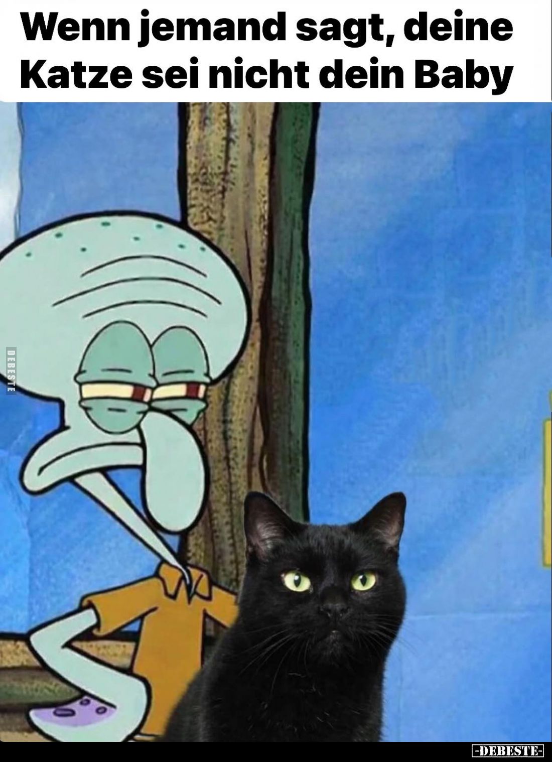 Wenn jemand sagt, deine Katze sei nicht dein Baby.