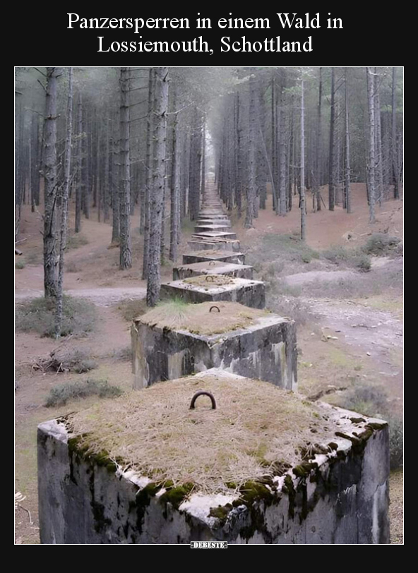 Panzersperren in einem Wald in Lossiemouth, Schottland.. - Lustige Bilder | DEBESTE.de