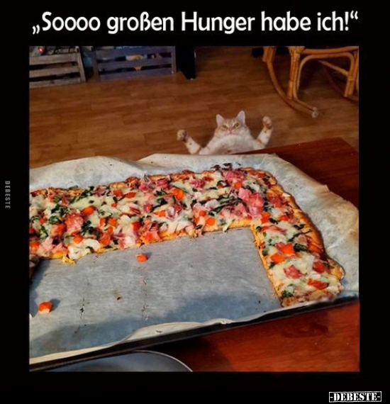 "Soooooo großen Hunger habe ich!".. - Lustige Bilder | DEBESTE.de