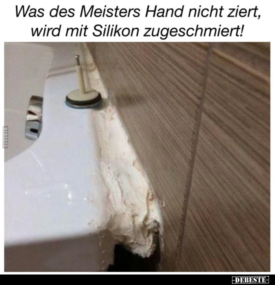 Was des Meisters Hand nicht ziert, wird mit Silikon.. - Lustige Bilder | DEBESTE.de