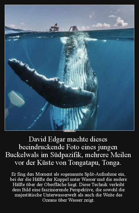 David Edgar machte dieses beeindruckende Foto.. - Lustige Bilder | DEBESTE.de