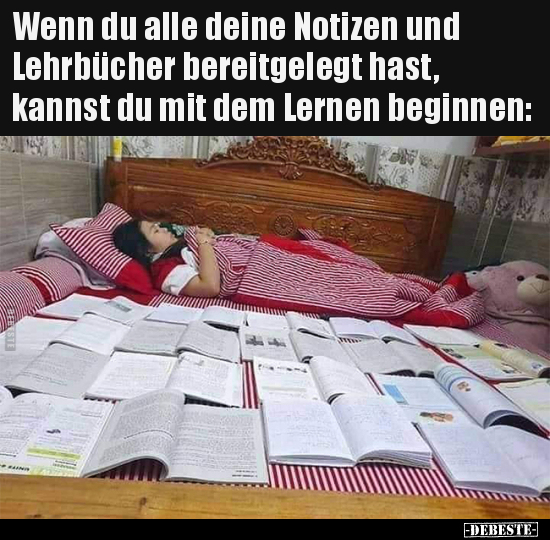 Wenn du alle deine Notizen und Lehrbücher bereitgelegt.. - Lustige Bilder | DEBESTE.de