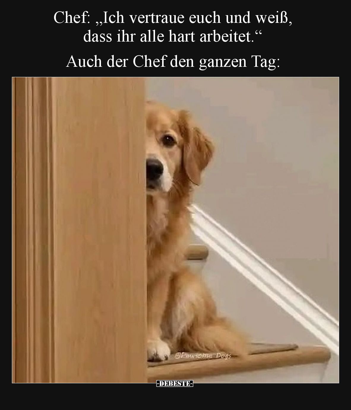 Chef: „Ich vertraue euch und weiß, dass ihr alle hart arbeitet.“

Auch der Chef den ganzen Tag:
