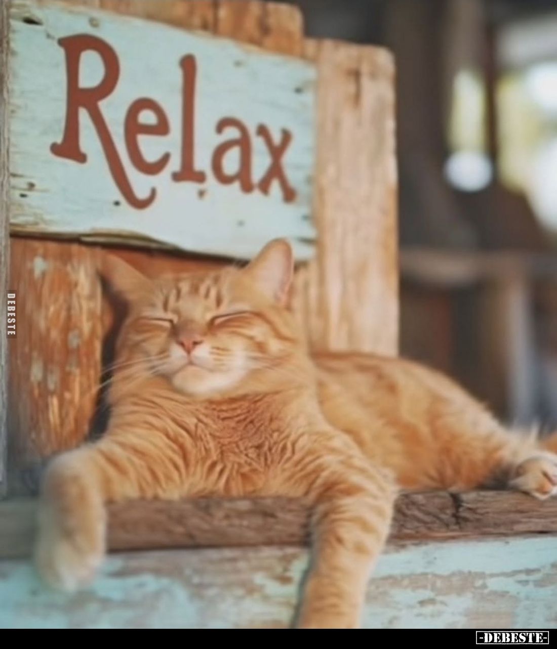 Relax... - Lustige Bilder | DEBESTE.de