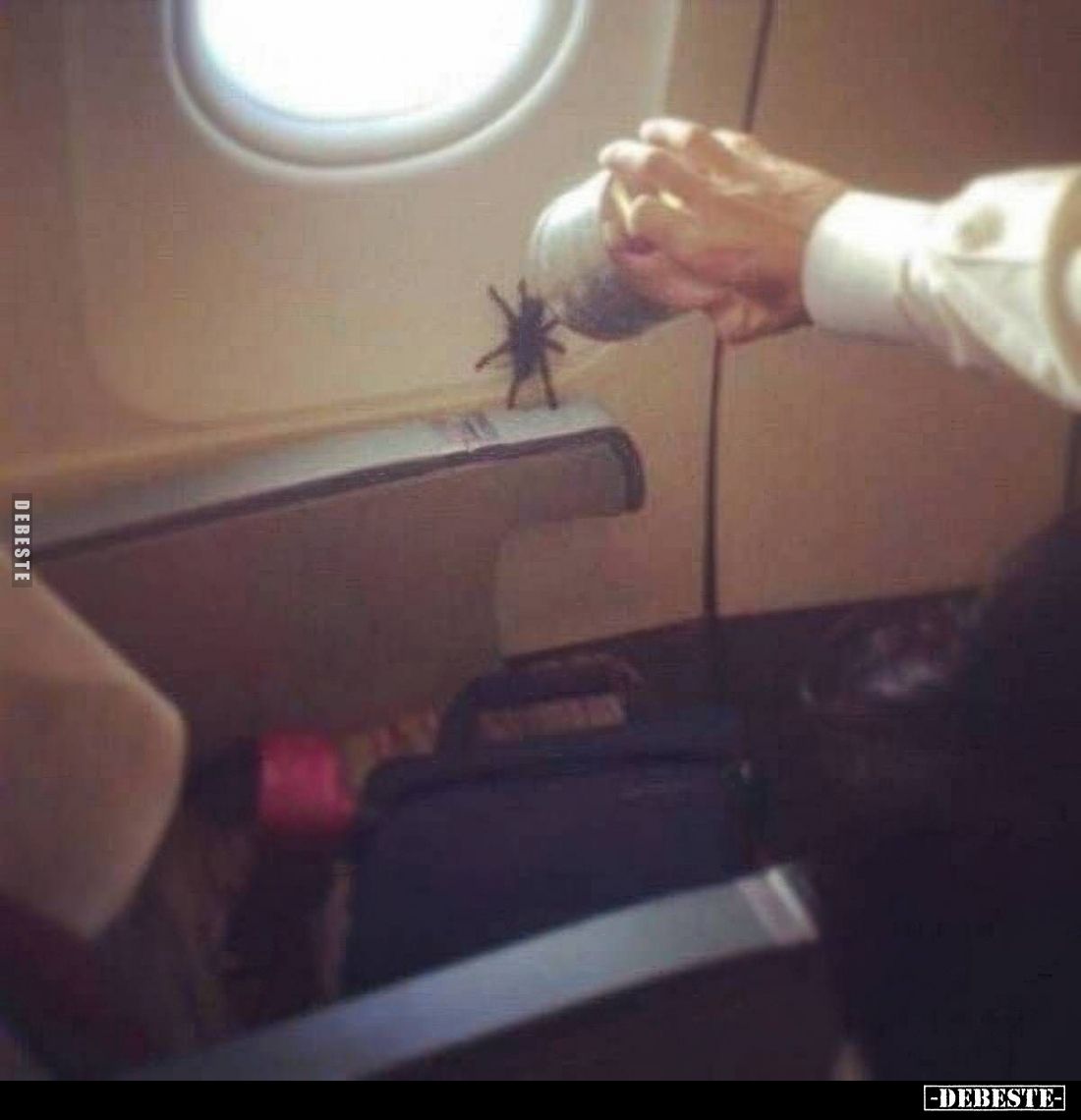  - Lustige Bilder | DEBESTE.de