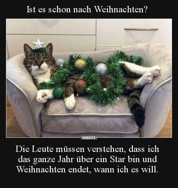 Ist es schon nach Weihnachten? Die Leute müssen verstehen.. - Lustige Bilder | DEBESTE.de