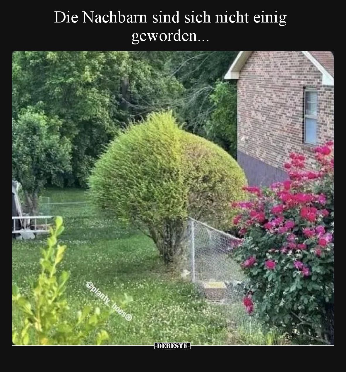 Die Nachbarn sind sich nicht einig geworden.