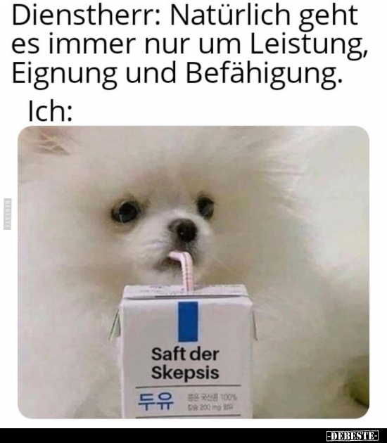 Dienstherr: Natürlich geht es immer nur um Leistung, Eignung und Befähigung. Ich: