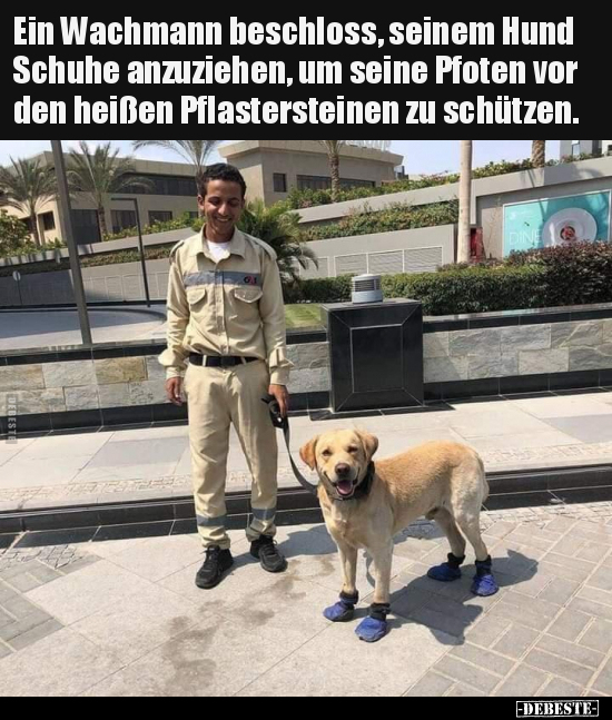 Ein Wachmann beschloss, seinem Hund Schuhe anzuziehen, um.. - Lustige Bilder | DEBESTE.de