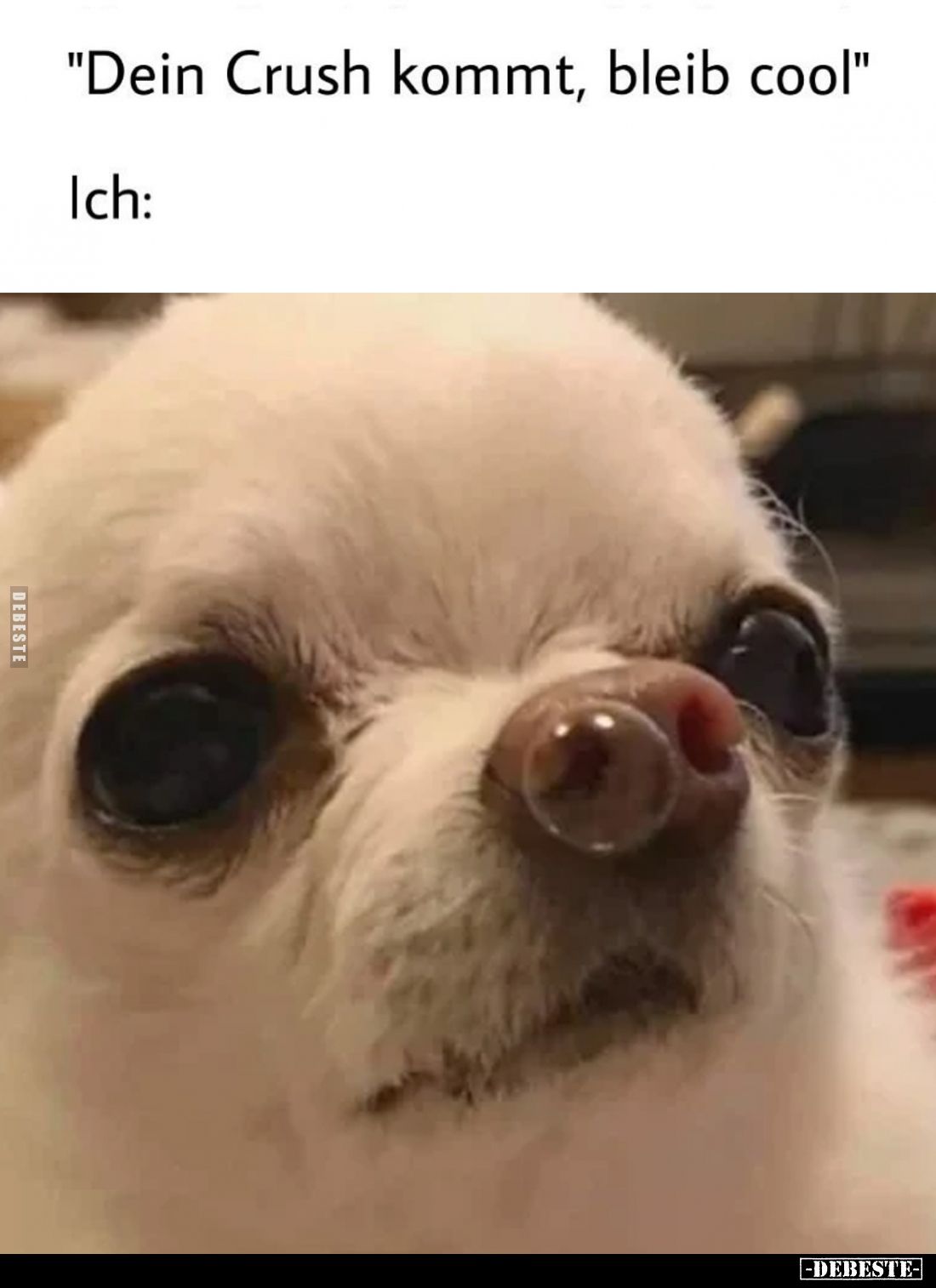 "Dein Crush kommt, bleib cool."