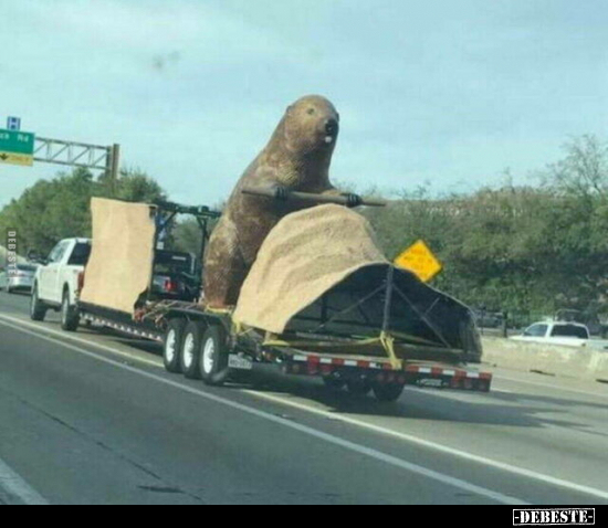  - Lustige Bilder | DEBESTE.de