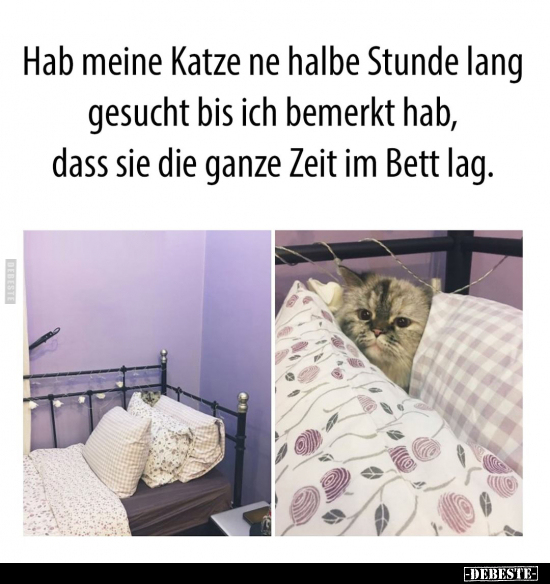 Hab meine Katze ne halbe Stunde lang gesucht bis ich.. - Lustige Bilder | DEBESTE.de