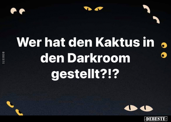 Wer hat den Kaktus in den Darkroom gestellt?!?.. - Lustige Bilder | DEBESTE.de