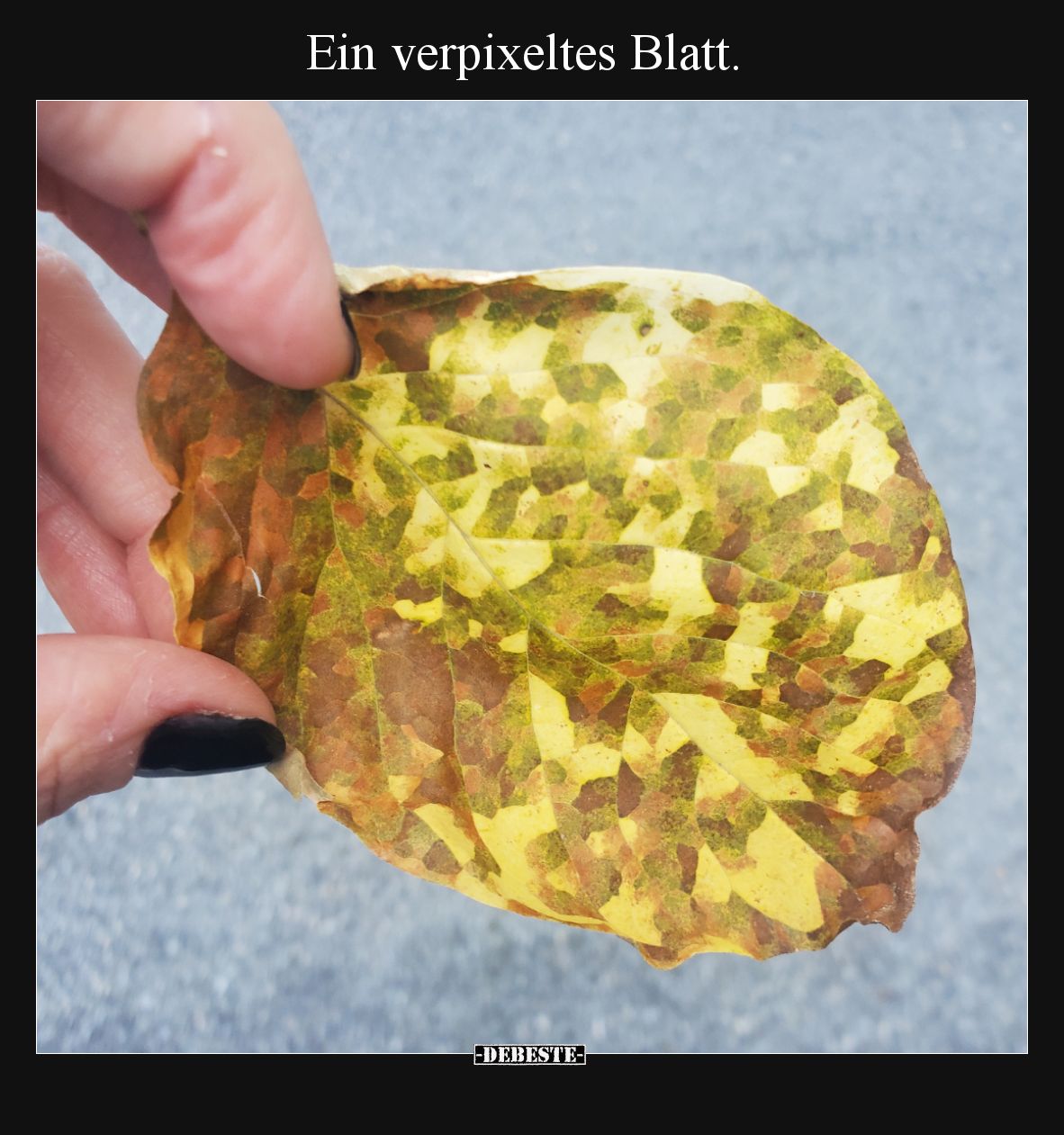 Ein verpixeltes Blatt.