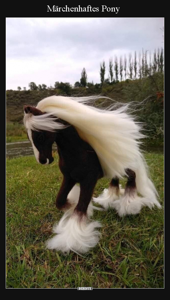 Märchenhaftes Pony.. - Lustige Bilder | DEBESTE.de