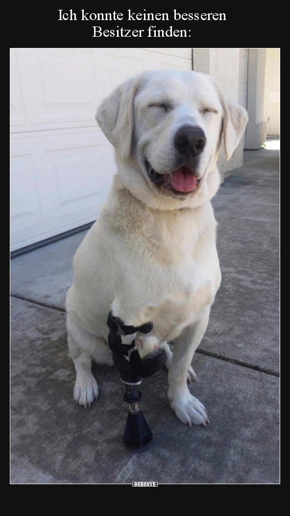 Ich konnte keinen besseren Besitzer finden..