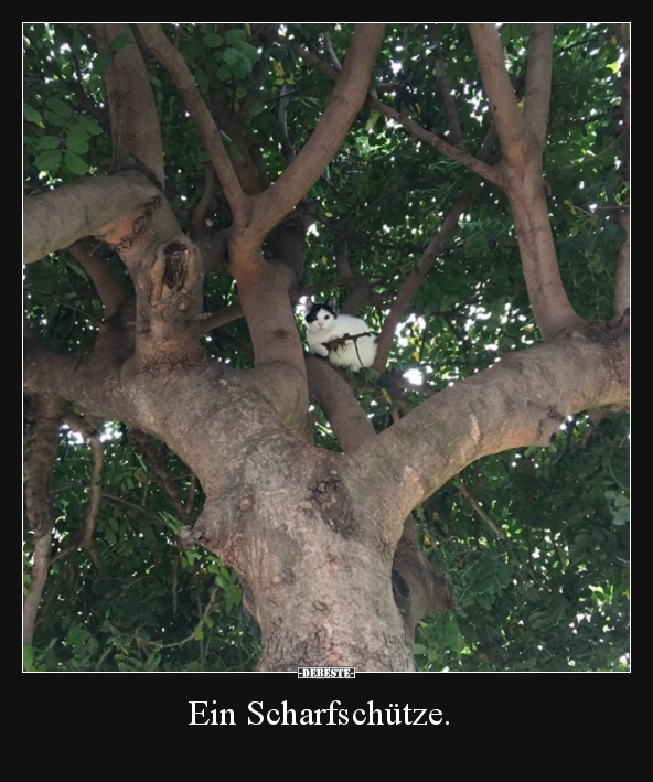 Ein Scharfschütze.