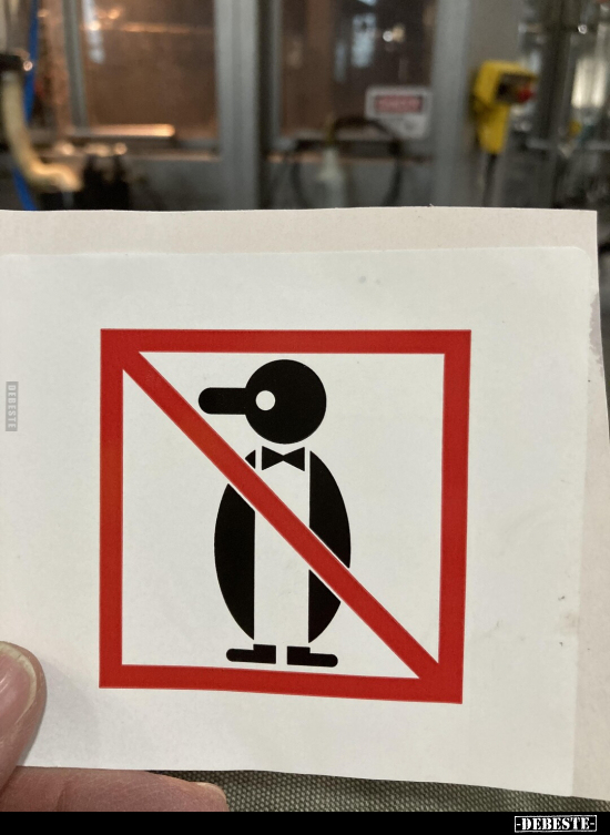  - Lustige Bilder | DEBESTE.de