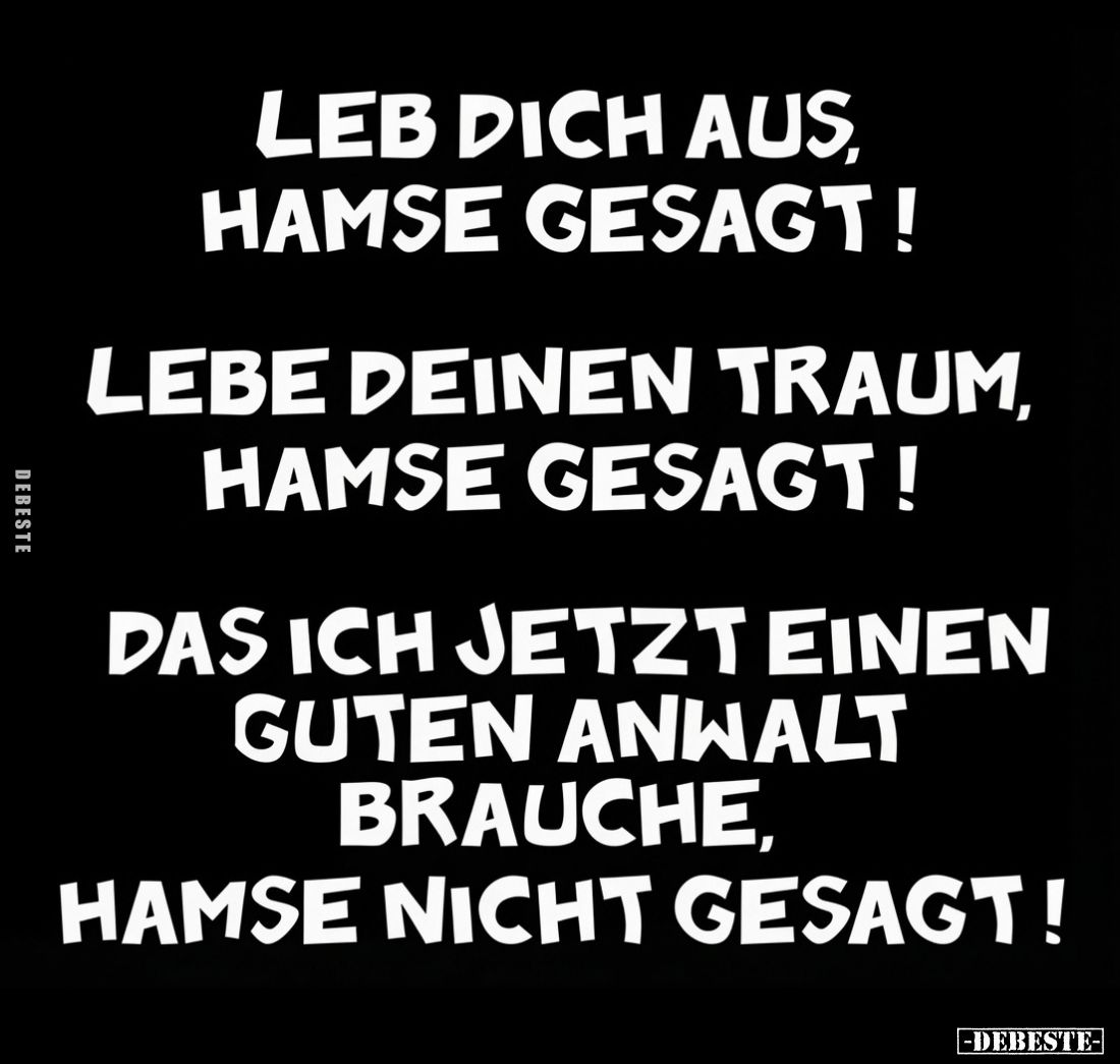 Leb dich aus, hamse gesagt!
Lebe deinen Traum, hamse gesagt!
Das ich jetzt einen guten Anwalt brauche, hamse nicht gesagt!...