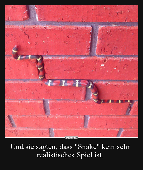 Und sie sagten, dass "Snake" kein sehr realistisches Spiel ist.