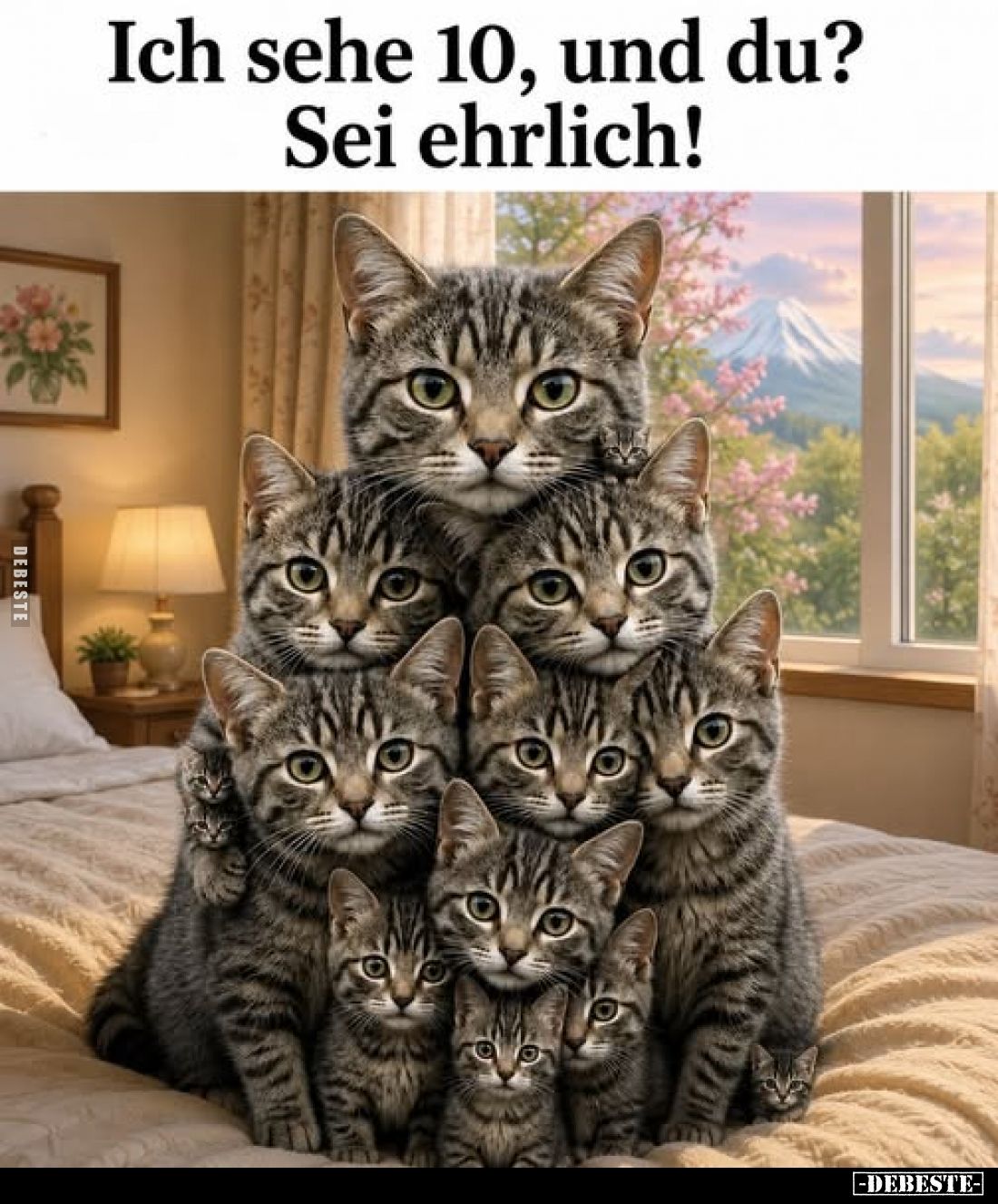 Ich sehe 10, und du? Sei ehrlich!.. - Lustige Bilder | DEBESTE.de