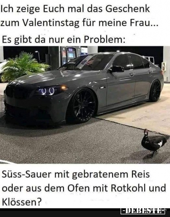  - Lustige Bilder | DEBESTE.de