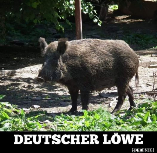 Deutscher Löwe.. - Lustige Bilder | DEBESTE.de