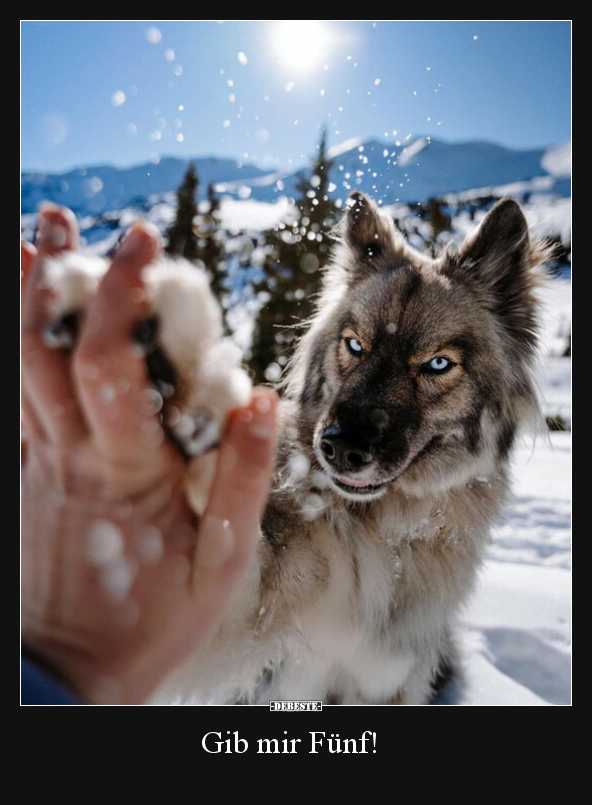 Gib mir Fünf!