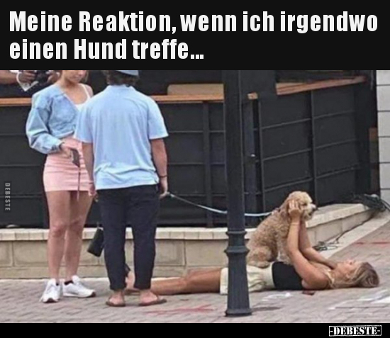 Meine Reaktion, wenn ich irgendwo einen Hund treffe... - Lustige Bilder | DEBESTE.de