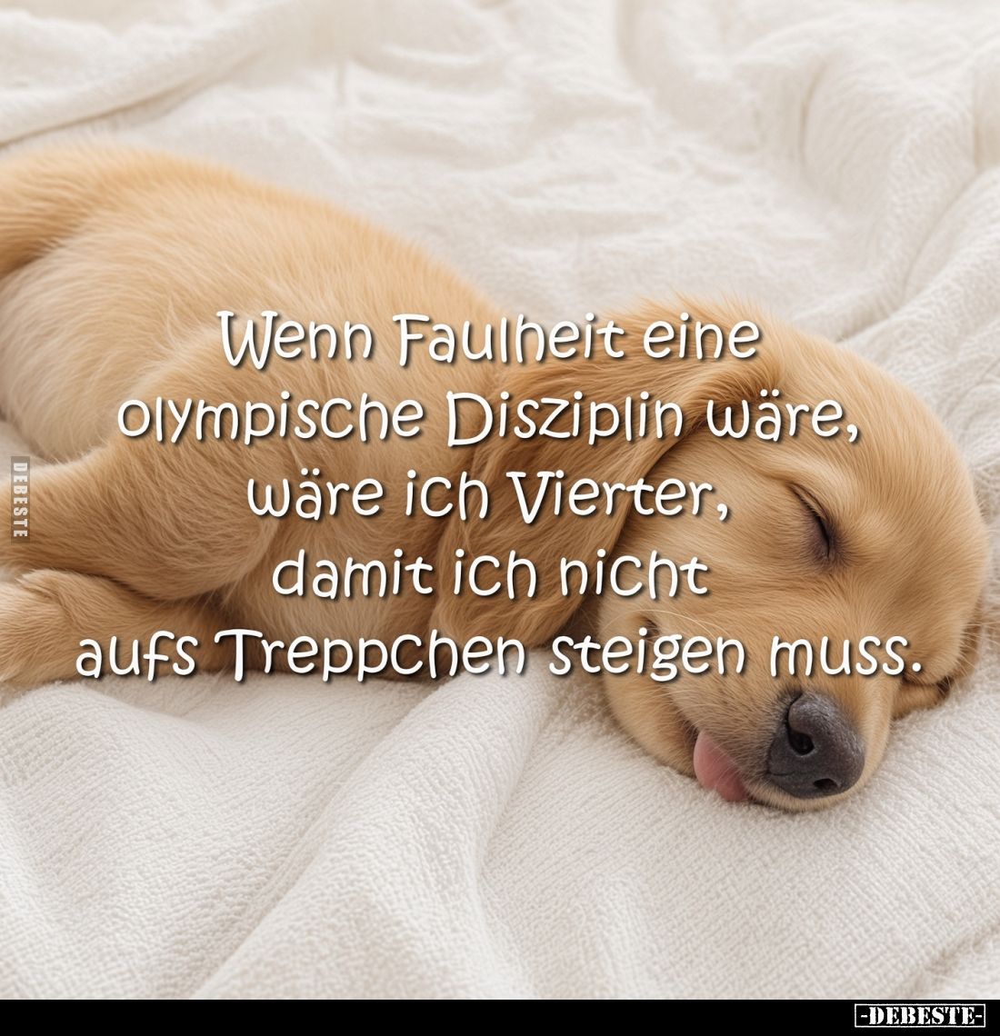 Wenn Faulheit eine olympische Disziplin wäre, wäre ich vierter, damit ich nicht aufs Treppchen steigen muss.
