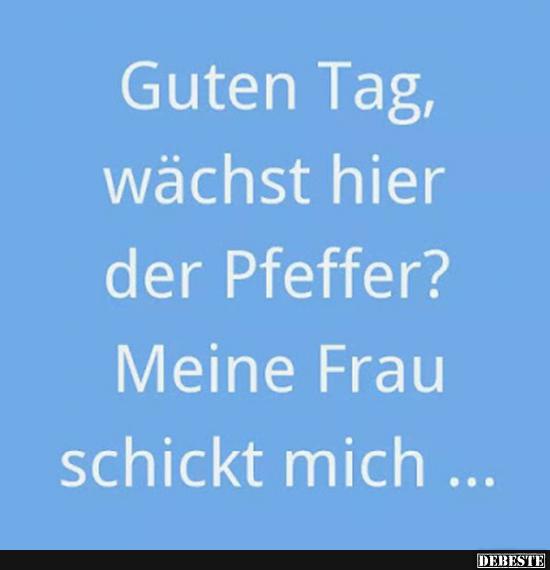 Guten Tag, wächst hier der Pfeffer?