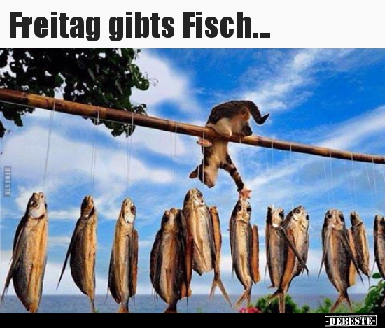 Freitag gibts Fisch... - Lustige Bilder | DEBESTE.de