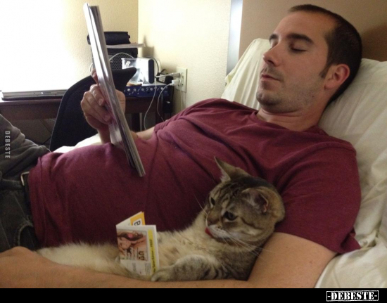  - Lustige Bilder | DEBESTE.de